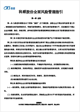 云顶国际官网股份全面风险管理指引