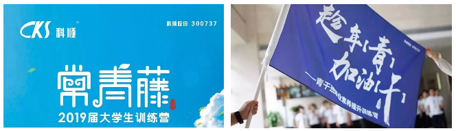 TIM截图20190314210808.png