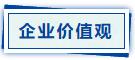 企业价值观.jpg