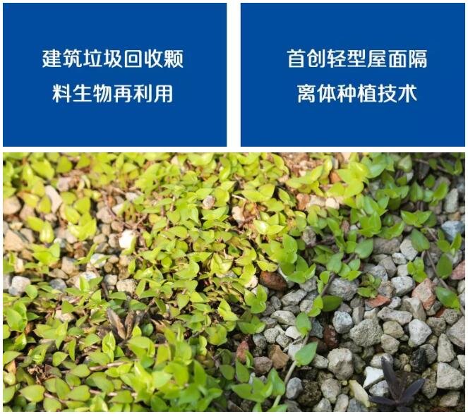 TIM截图20200421112855.jpg