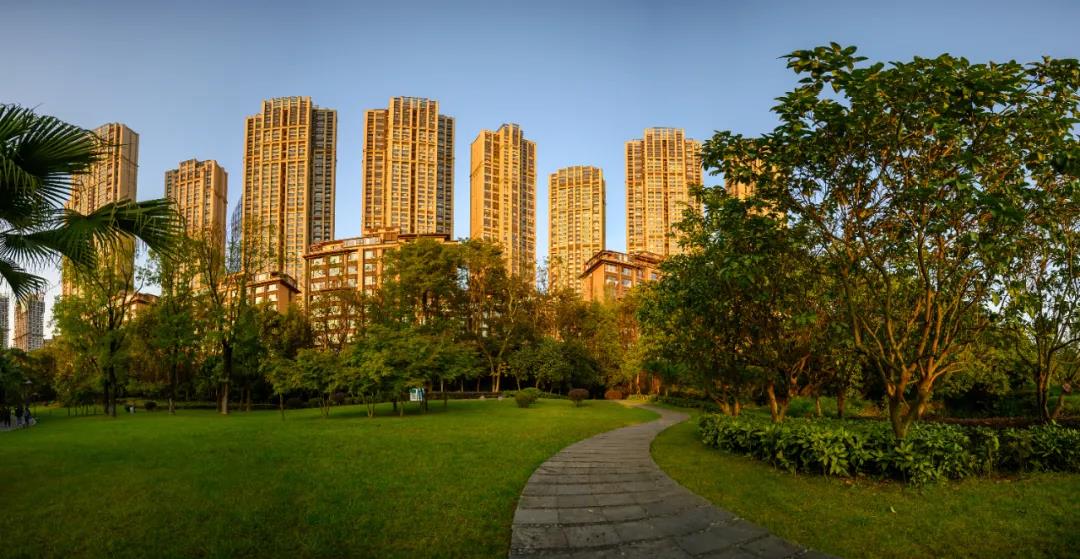 微信图片_20200528173933.jpg